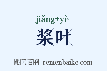 桨叶是什么意思的图片